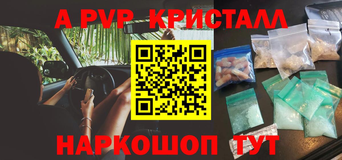 A PVP СК Луга