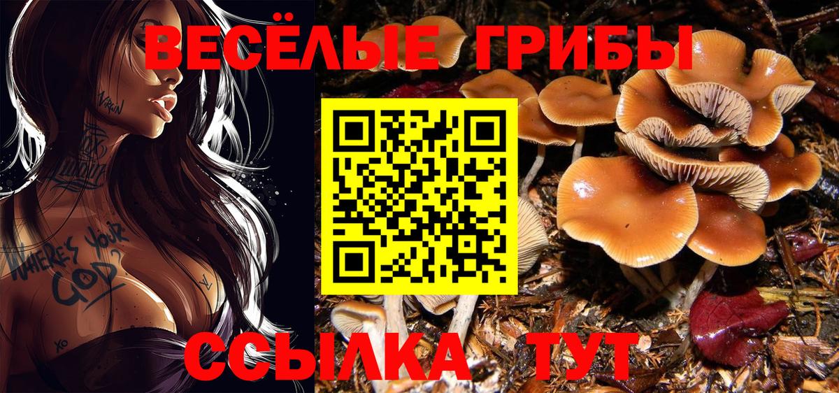 Луга  Галлюциногенные грибы ЛСД  Вход с VPN 